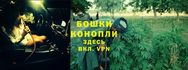 как найти   Ставрополь  Шишки марихуана Bruce Banner 